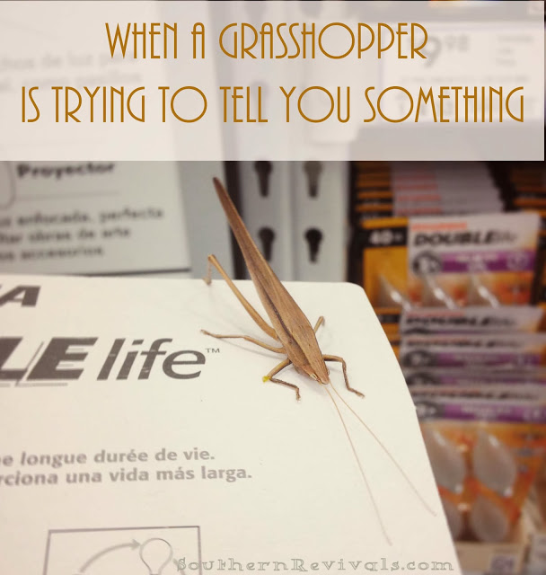 Grasshopper.jpg