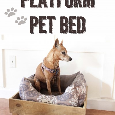 DIY Platform Pet Bed