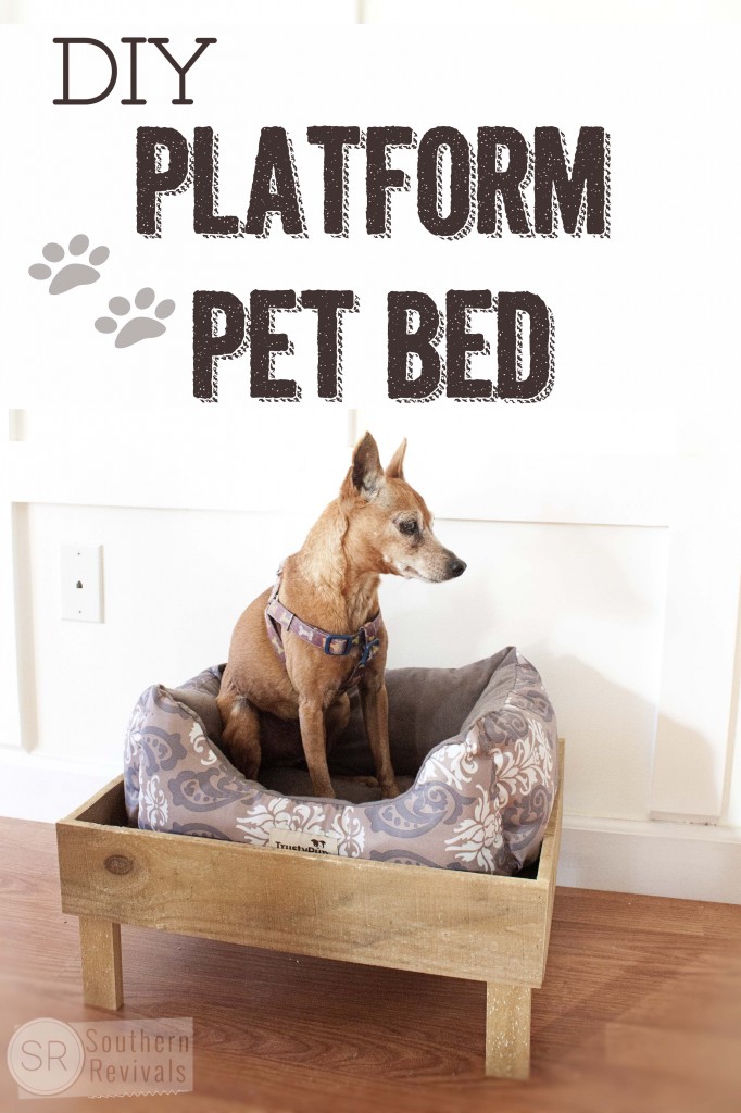Southern Revivals | DIY Platform Pet Bed