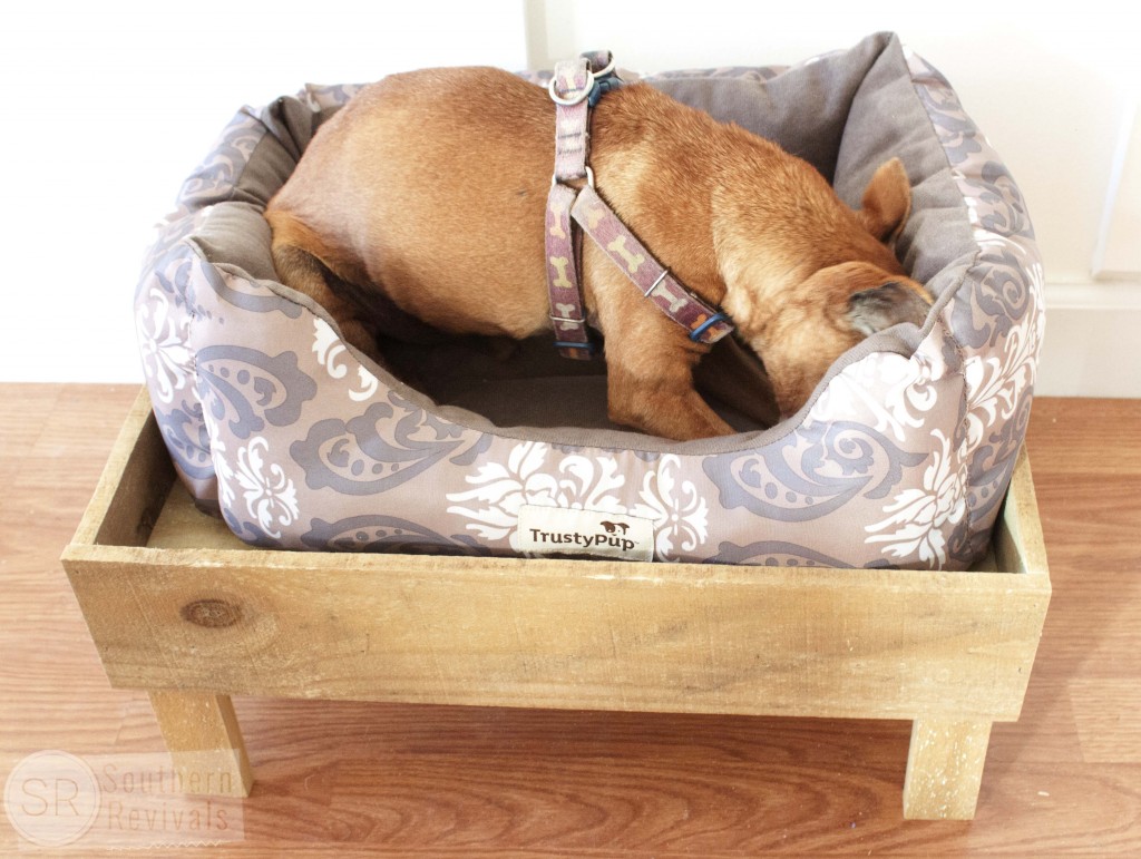 Southern Revivals | DIY Platform Pet Bed