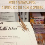 When A Grasshopper is Trying to Tell You Something