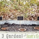 Growing an Herb & Veggie Garden in 3 Easy Steps