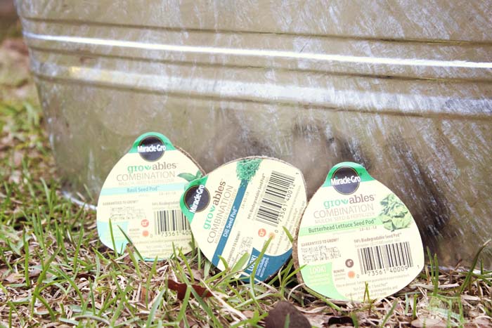 Southern Revivals | Growing a Garden in 3 Easy Steps with Scott's Gro Ables