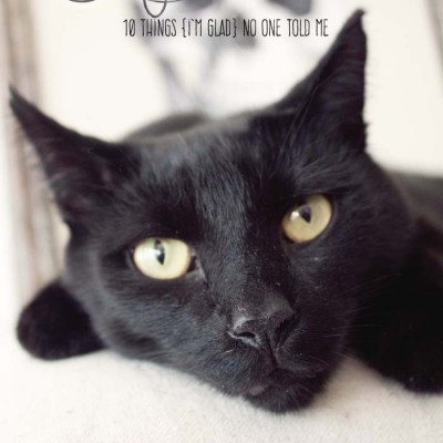 Life with Cats | Things I'm Glad No One Told Me #cats #pets #FreshStepCats