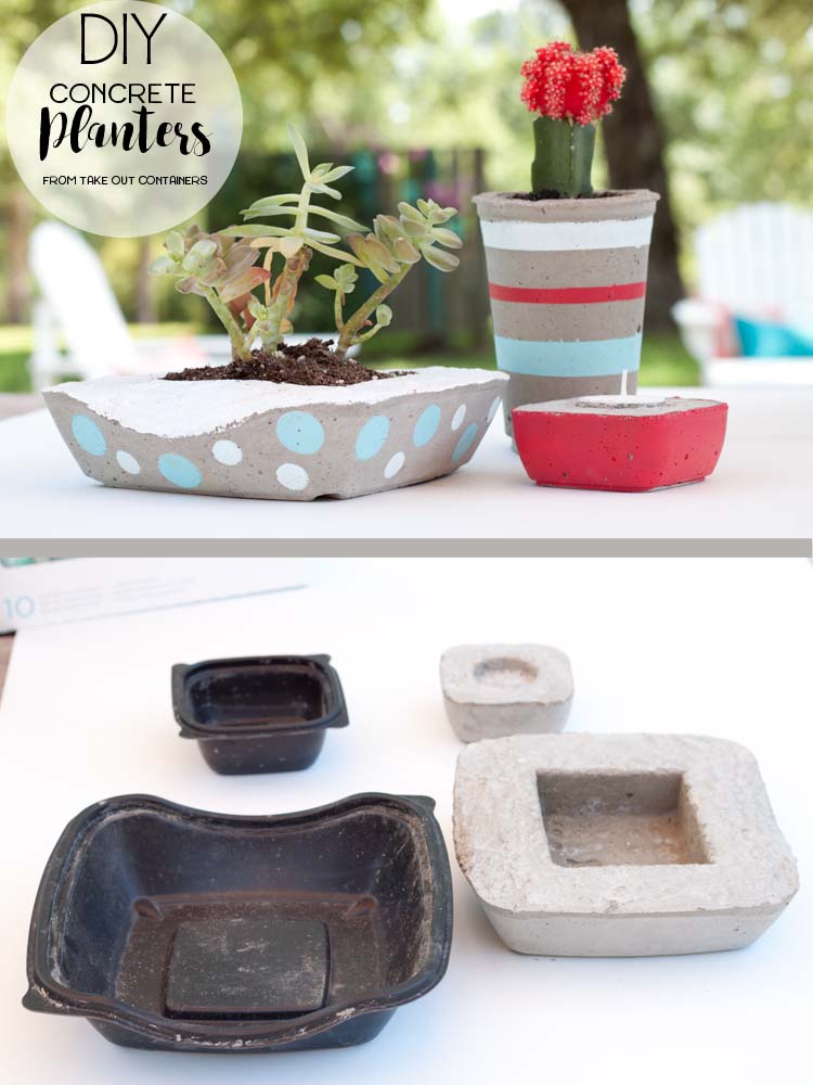 DIY Concrete Planters