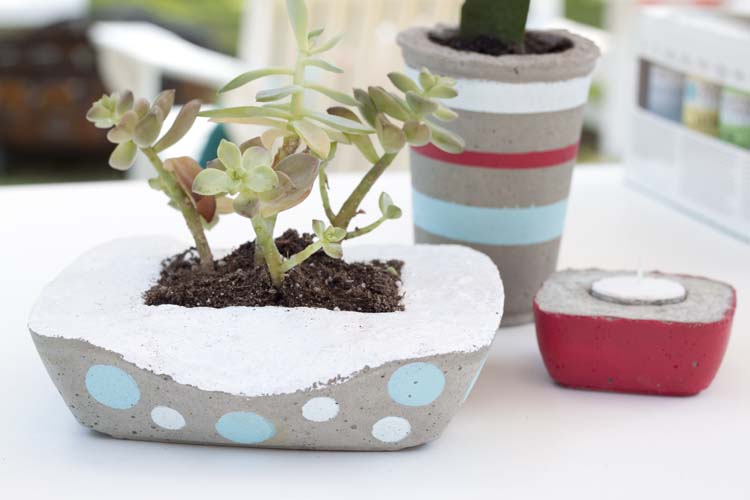 DIY Concrete Planters