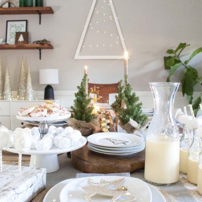 Scandinavian Winter Wonderland Party Ideas