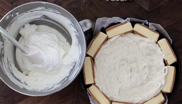 Key Lime Pie DIY Ice Cream Cake