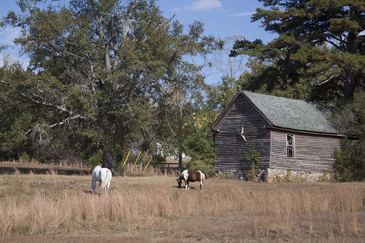 North Georgia backroads