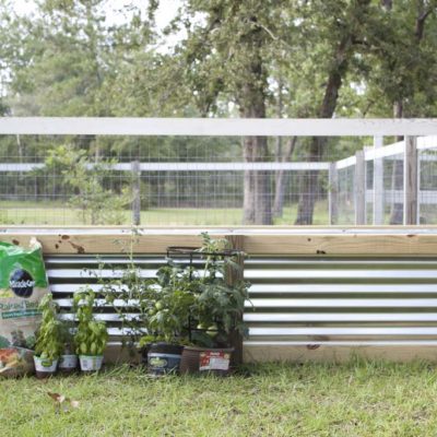 Modern DIY Garden Box