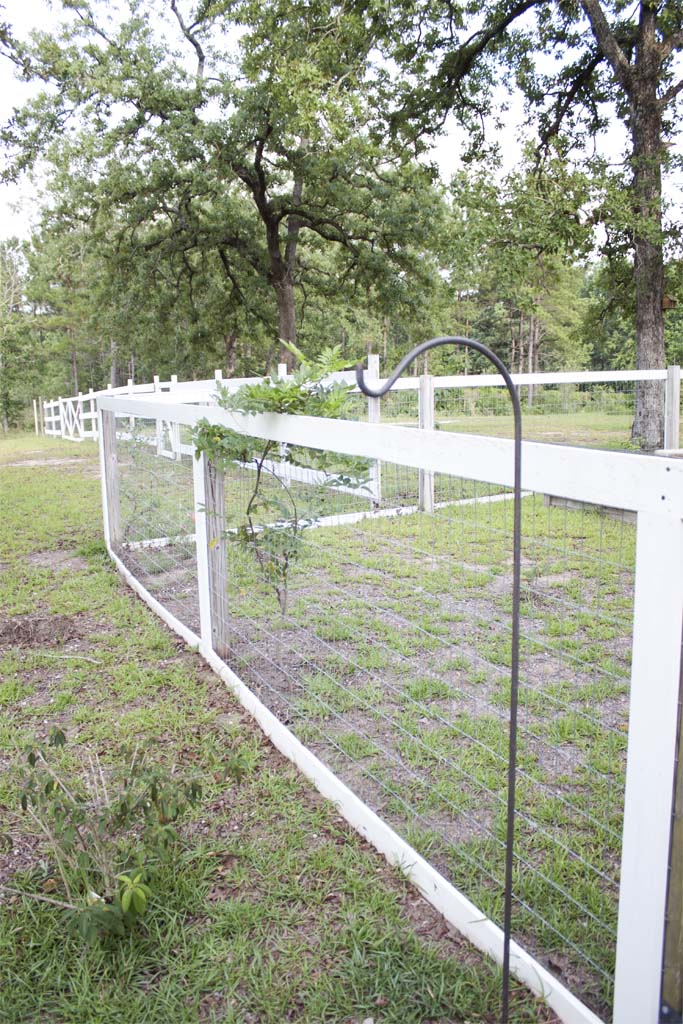 Farmhouse style DIY Garden Fence