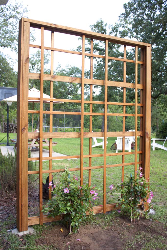 How to Build a Modern DIY Garden Trellis | Southern Revival