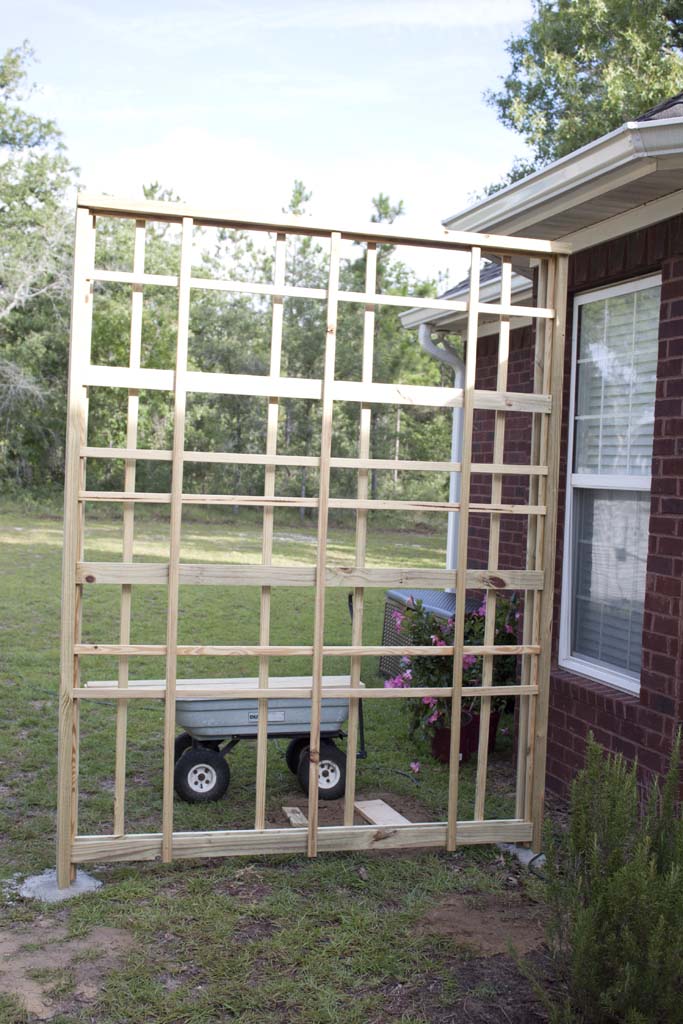 Modern DIY Garden Trellis