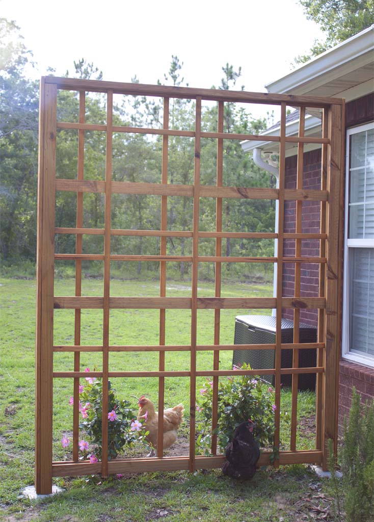 Modern DIY Garden Trellis