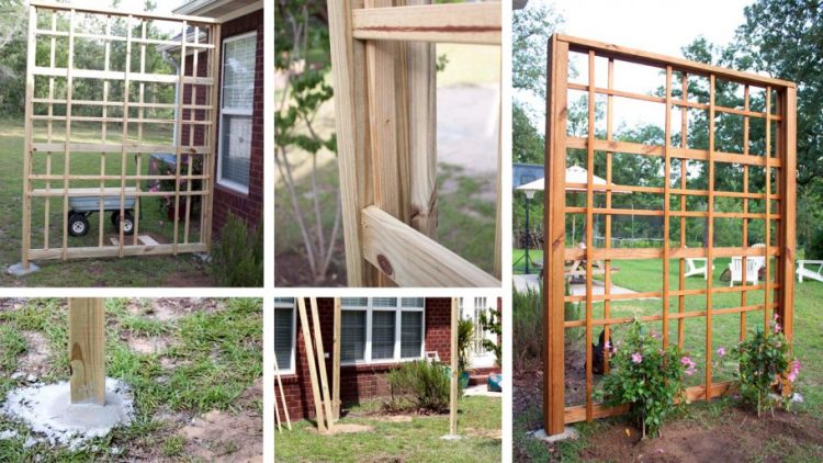 Modern DIY Garden Trellis