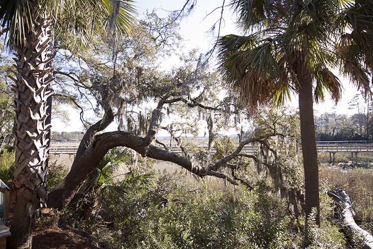 Savannah Georgia Coastal Georgia