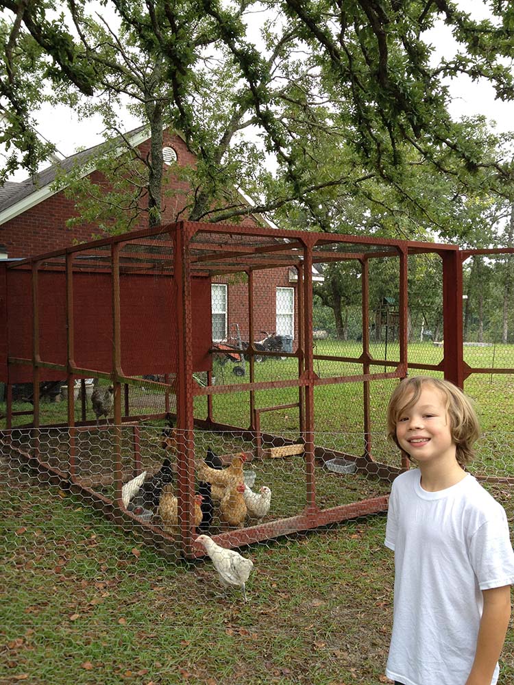 Fancy Farmhouse Chicken Coop