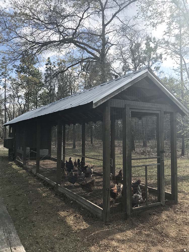 Fancy Farmhouse Chicken Coop
