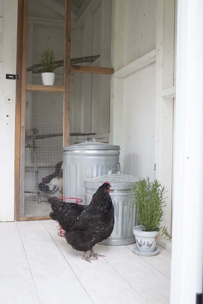 Fancy Farmhouse DIY Chicken Coop Reveal Southern Revivals