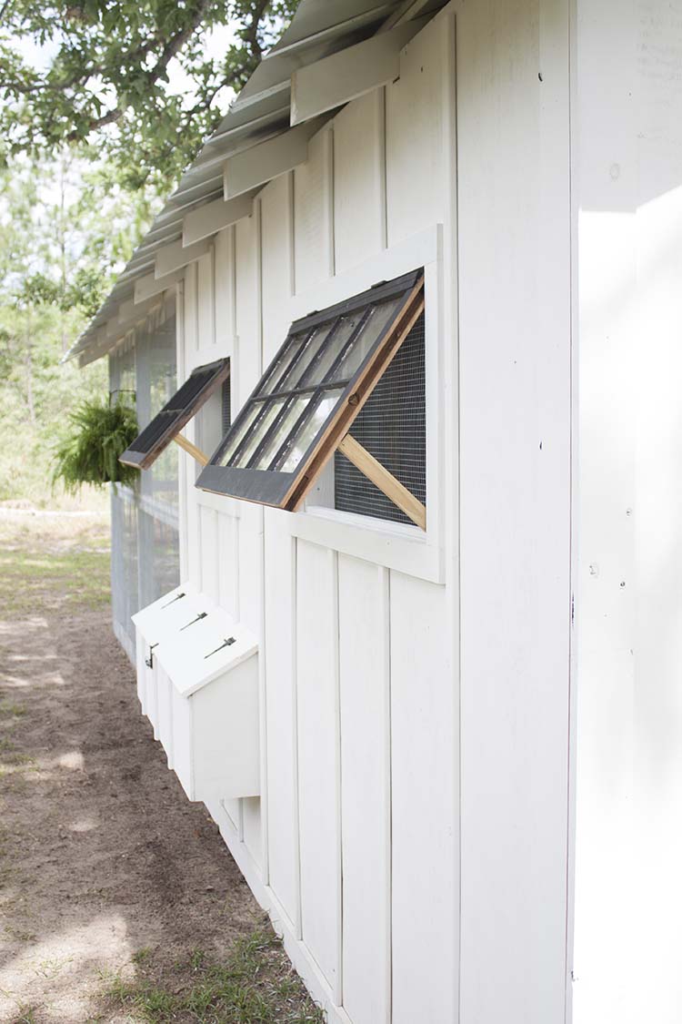 chicken coop windows