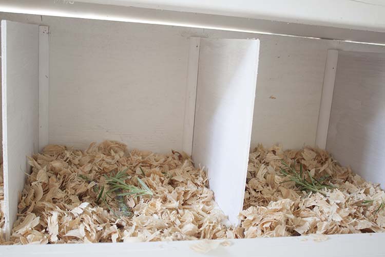 herbs in chicken nesting boxes