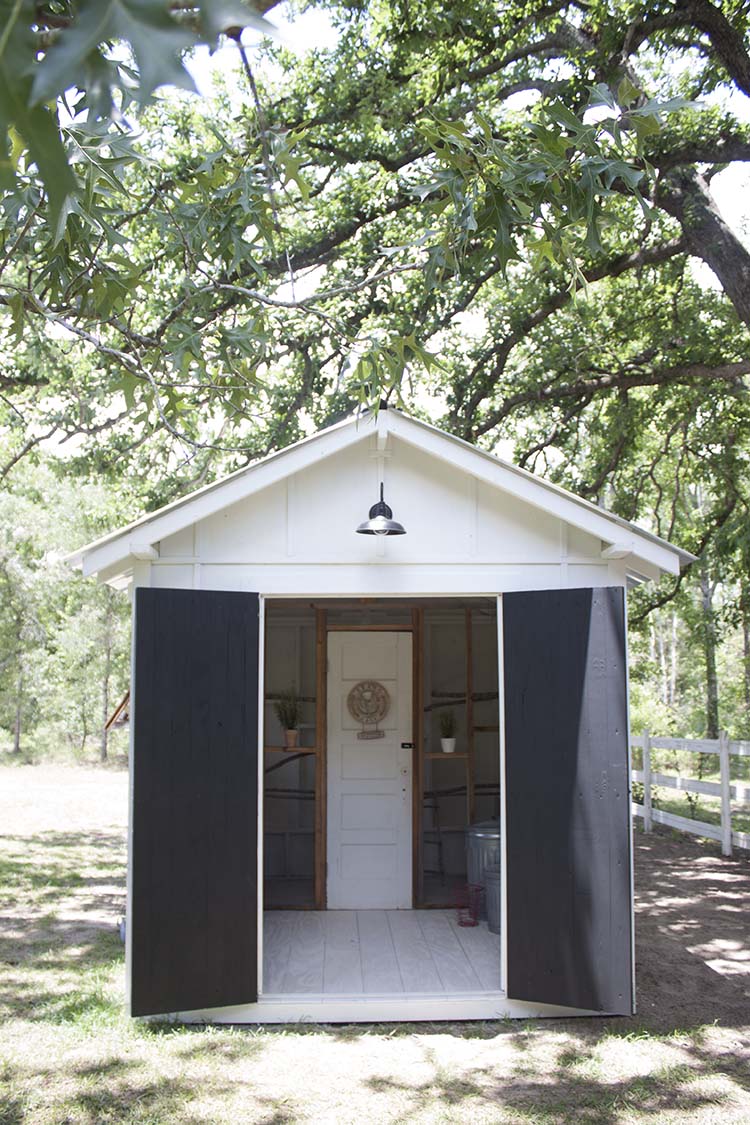 doors open inside chicken coop