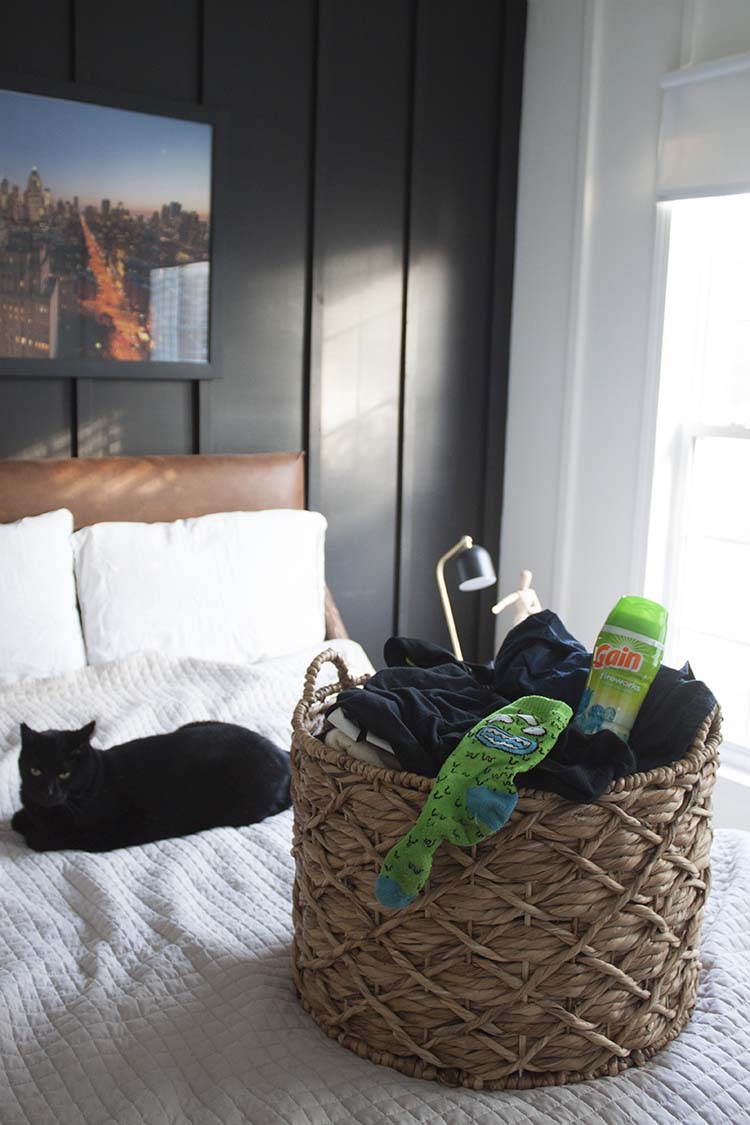 laundry basket cat on bed