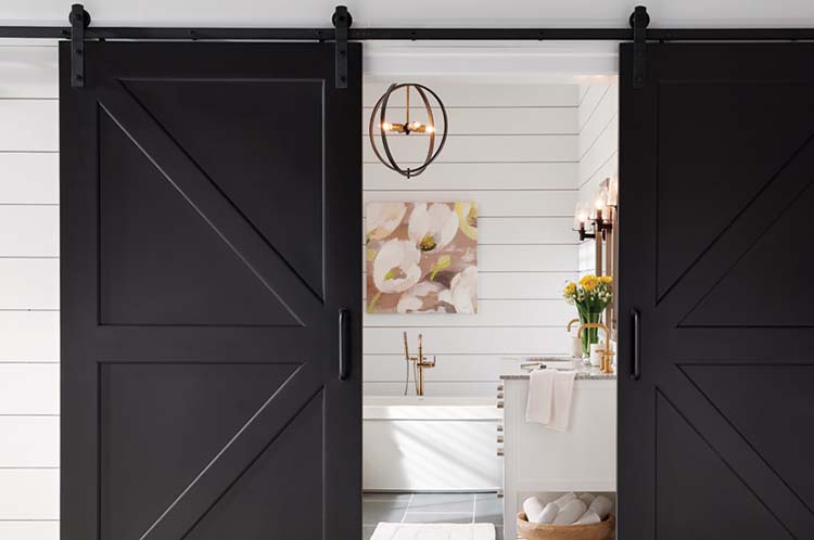 Black Barn doors